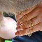 5 in 1Workshop - Goats, Cheese & Soap Making, Wool event image