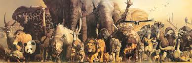 All of our signature jigsaw puzzles are made in the united states with recycled materials. Noah S Ark 1000 Pieces Eurographics Puzzle Warehouse