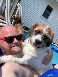 Annie ran off todayfrpm Minerva Ohio close to Great Trail Golf course. Her  owners are out of town. If you see her please contact Farrah Dray.