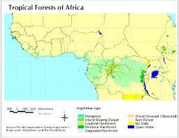 Download 77 jungle map free vectors. The Scope And Health Of The African Rainforest
