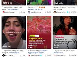 Hoa Bỉ Ngạn là gì, có bao nhiêu màu? Ý nghĩa và nguồn gốc của trend Hoa Bỉ  Ngạn