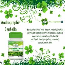 Produk Hni Hpai Andrographis Centella Di 2020 Herba Produk Herbal