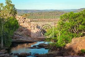 Current list view the current road obstructions for roads controlled by the northern territory government. Kakadu National Park Northern Territory Australien Landschaft Fototapete Fototapeten Darwin Wilde Natur Northern Territory Myloview De