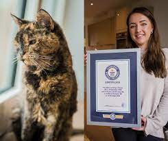 Oldest Cat - Guinness World Records | house cat, Guinness World Records | Flossie from London, UK is the world's oldest cat 🐈 | By Guinness World Records | Facebook