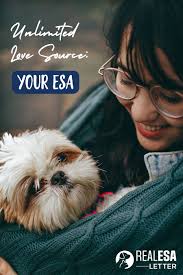 Unlimited Love Source Your Esa Emotional Support Animal Emotional Support Animal Dog Owners Support Animal