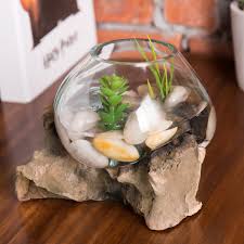 Online shopping from a great selection at movies & tv store. Millwood Pines Glass Bowl Plant Terrarium With Driftwood Reviews Wayfair