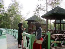 Kota langsa adalah salah satu kota di aceh, indonesia. Wisata Favorit Hutan Mangrove Kota Langsa Travel Link