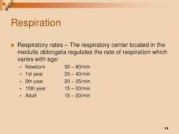 What Is A Normal Respiration Rate For Adults