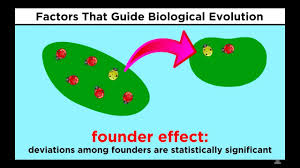Learn vocabulary, terms and more with flashcards, games and other study tools. Life Sciences 11 Ms Lam S Homework Site