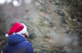 Weihnachtsquiz kinder lustig / antolin leseforderung von klasse 1 bis 10 : Weihnachts Quiz Kniffliger Die Fragen Nie Klingen Panorama Stuttgarter Nachrichten
