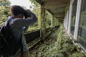 Palmengarten und botanischer garten, frankfurt am main. Journal Frankfurt Nachrichten Verlassene Orte Mitten In Der City Lost Places