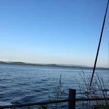 Old dock house & marina: The Old Dock Restaurant Essex Restaurant Reviews Photos Phone Number Tripadvisor