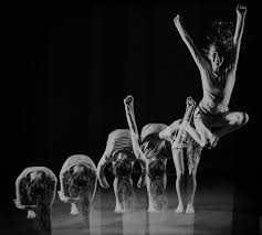 El Actor Y El Cuerpo En Movimiento Escuela De Teatro Y Formacion Actoral Cuerpo En Movimiento Movimiento Cuerpo