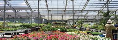 Gardening is so much more than a few potted plants. Greenhouse Plant Nursery Israel Palram Industries Ltd