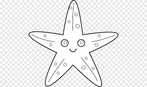 Estrella De Mar Colorear