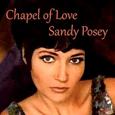 Here Comes My Baby Back Again