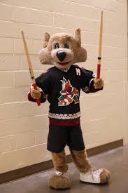 Howler wears number 96 on his jersey, representing the year the winnipeg jets moved to arizona, and wears an m designation for mascot. Arizona Coyotes On Twitter Happy Nationalmascotday To The World S Most Talented And Popular Mascot Howlercoyote