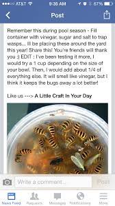 This tip uses the wasps' own behavior to deter them from your home. Pin By Gifted Designs On Garden Get Rid Of Wasps Wasp Traps Bee Repellent