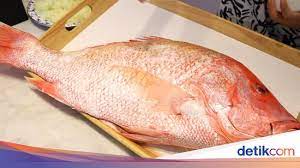 Ikan kakap yang hidupnya di air laut ini memiliki jenis yang berbeda, seperti ikan kakap merah, ikan kakap putih, ikan kakap hitam dan mungkin masih banyak jenis ikan kakap ini yang bisa ditemukan di perairan laut yang luas. Wow Youtuber Ini Mukbang Ikan Kakap Goreng 7 Kg