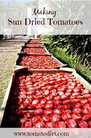 Making Sun Dried Tomatoes Step By Step Directions Sun Dried Tomato Dried Tomatoes Make Sun Dried Tomatoes