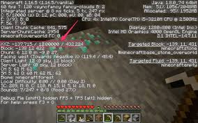 If you're playing ssp, the . How To Find Diamonds In Minecraft Quickly And Mine Them Without Dying Business Insider India