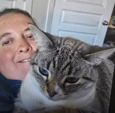 Missing female cat in Mission