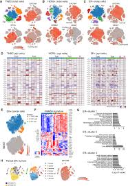 Unequal access to health care contributes to disparities in cancer outcomes. A Single Cell Rna Expression Atlas Of Normal Preneoplastic And Tumorigenic States In The Human Breast The Embo Journal