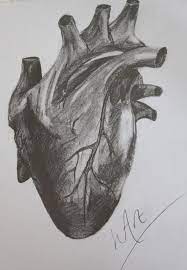 Free Heart Pencil Art, Download Free Heart Pencil Art Png Images, Free  Cliparts On Clipart Library