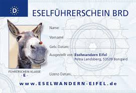 Eselwanderung Mit Ubernachtung Eselwandern In Der Eifel Esel Eifel Ubernachtung