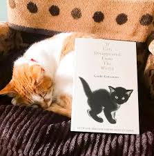 9 Japanese Books for People who Love Japan and Cats | Books and Bao