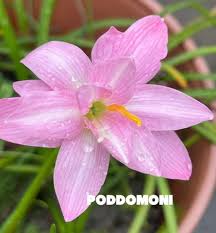 Estás listo para el último descuento del año? El mayor descuento del año  2024 muy pronto Si estás interesado escríbeme y deja un comentario.