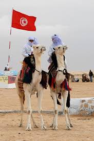 More information about cookies here. Free Photo Tunisia Camel Animal Bedouin Hippopx