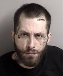 DISTRICT ATTORNEY VERN PIERSON ANNOUNCES THE CONVICTION OF DANIELLE  MCGLOTHIN AND LANCE LOGAN FOR FELONY CHILD ABUSE On November 19, 2018,  Danielle McGlothin and Lance Logan were sentenced to state prison for