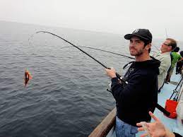 Information for orange county residents and visitors. Best Fishing Spots In Orange County Cbs Los Angeles