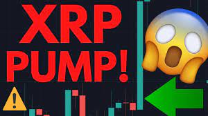 It is rumored that the wsb with the help of a telegram group called buy & hold xrp feb 1st, 2021 has planned to conduct a pump and dump tomorrow at 8.20 am est. Xrp Pump At This Time On February 1st Ripple Vs Sec Update Youtube