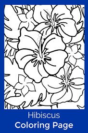 Sold by cloudtail india and ships from amazon fulfillment. Free Hibiscus Coloring Page For Kids And Adults Mama Likes This