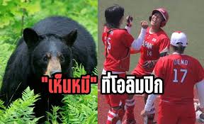 Maybe you would like to learn more about one of these? à¸•à¸³à¸£à¸§à¸ˆà¸•à¸°à¸¥ à¸‡ à¹€à¸« à¸™à¸«à¸¡ à¸š à¸à¸ªà¸™à¸²à¸¡à¸‹à¸­à¸Ÿà¸• à¸šà¸­à¸¥à¹‚à¸­à¸¥ à¸¡à¸› à¸