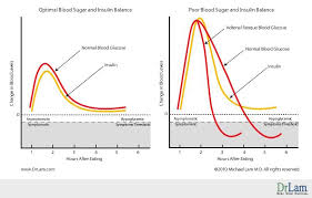 Described Blood Sugar Levels Immediately After Eating Low