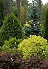 55 Neue Ideen Gartengestaltung Design Hinterhofe Baume Baume Design Gardenlandscapedesi Landschaftsbau Ideen Landschaftsdesign Immergruner Garten