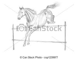 Bleistift Pferd Springen Zeichnung Hand Drawn Canstock