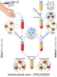 نتیجه جستجوی لغت [coombs] در گوگل