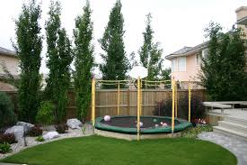 Populus Swedish Aspen Backyard Trampoline Sunken Trampoline Small Backyard Landscaping