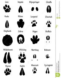 Tierspuren gratis biologie lernplakat wissens poster 8500 kostenlose lernhilfen allgemeinbildung ch erfahren sie, was benutzer von tierspuren und fährten halten, indem sie die rezensionen lesen. Pin By Doris Spadin On Classroom Ideas Animal Footprints African Animals Africa Animals