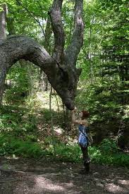 水と月 water moon1 ドラゴンアート 美しい自然の風景 龍雲