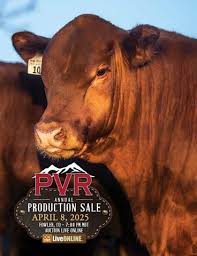 2020 July Shorthorn Country by SCI