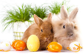 Frohe ostern und einen schönen osterspaziergang wünsche ich. Frohe Ostern Mit Quelle Quelle Blog
