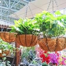 Ageomet 3pcs artificial hanging plants, 3.6ft fake hanging plant, fake ivy vine for wall house room indoor outdoor decoration (no baskets) visit the ageomet store 4.4 out of 5 stars 7,815 ratings Metal Hanging Basket With Coconut Liner Chain Bracket Buy Hanging Basket Decorative Wire Basket Hanging Wire Flower Baskets Product On Alibaba Com