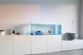 Fmk On Instagram Goldfishunion Aquarium Aquascape Fancygoldfish Tosakin Interior Design Minimal Zen Interiors Aquarium Stand Fish Tank Design