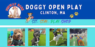 Doggy Open Play