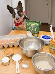 With these birthday cake recipes for dogs you can put on the perfect treat. Dog Birthday Cake Recipe Meat Http Dimitrastories Blogspot Com